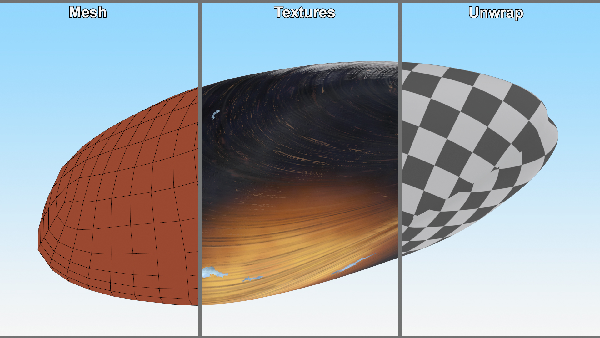 Closed Mussel Shell 3D model