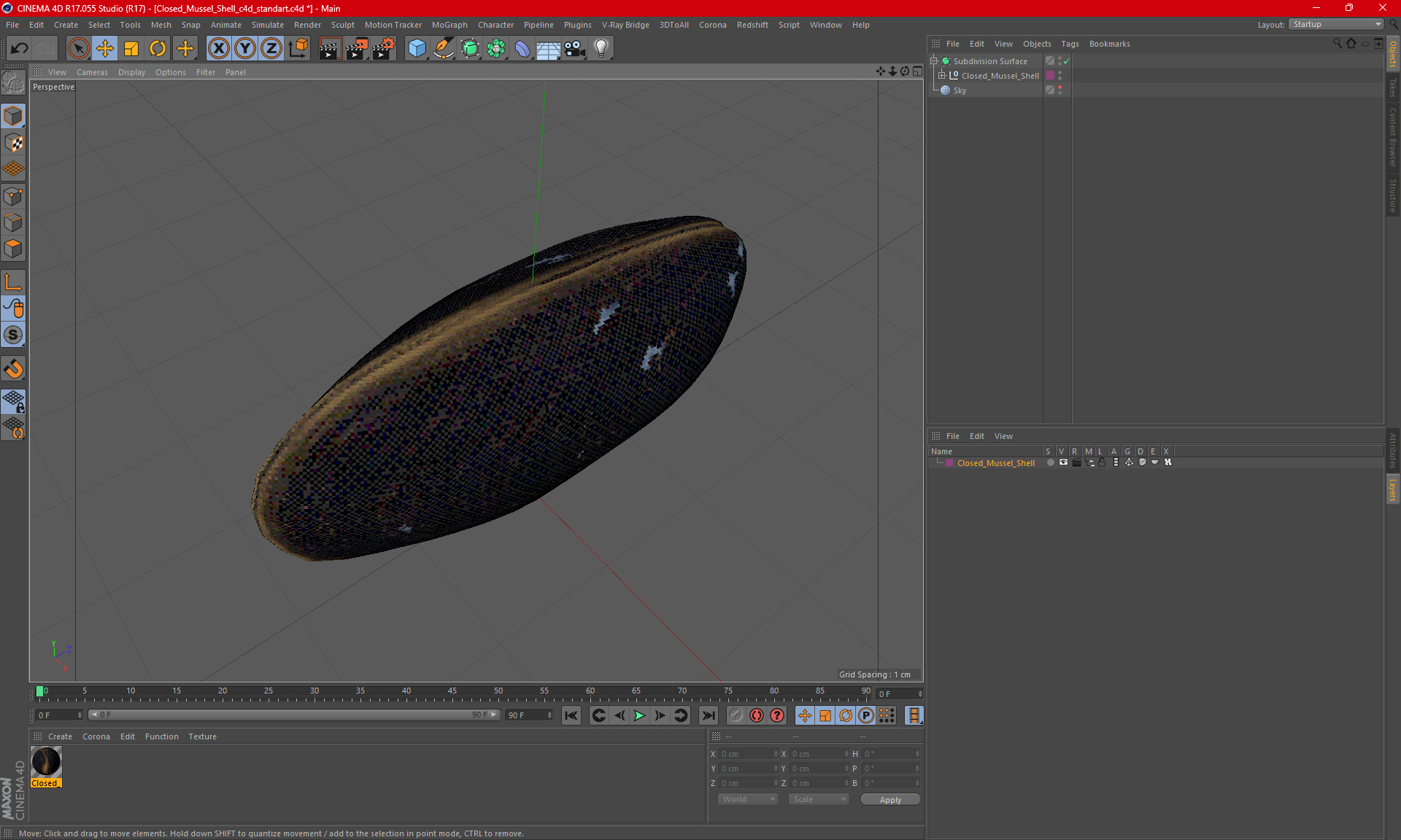 Closed Mussel Shell 3D model