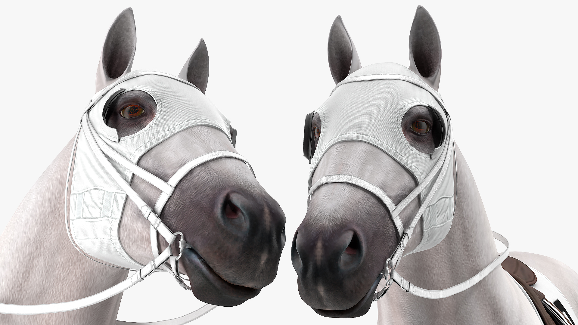Racehorse White Rigged 3D