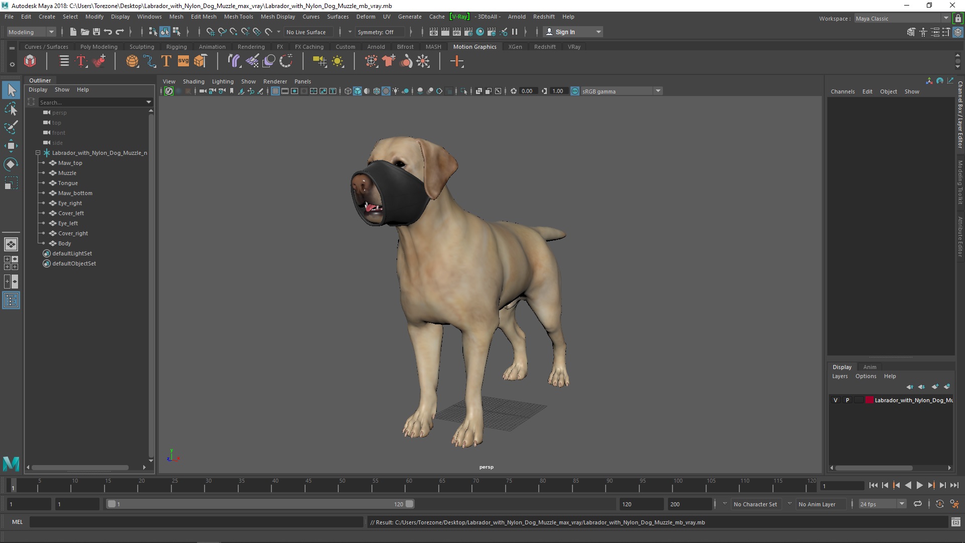 3D model Labrador with Nylon Dog Muzzle