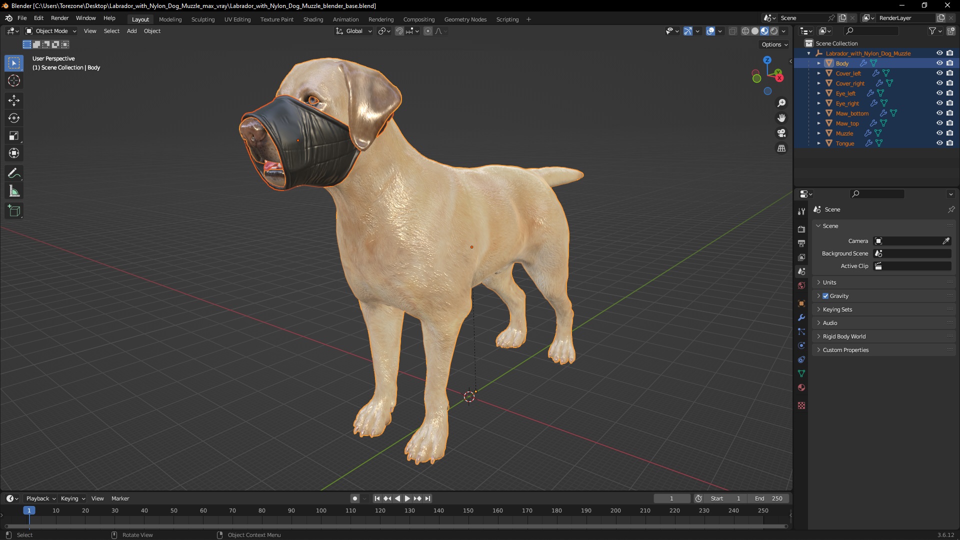 3D model Labrador with Nylon Dog Muzzle