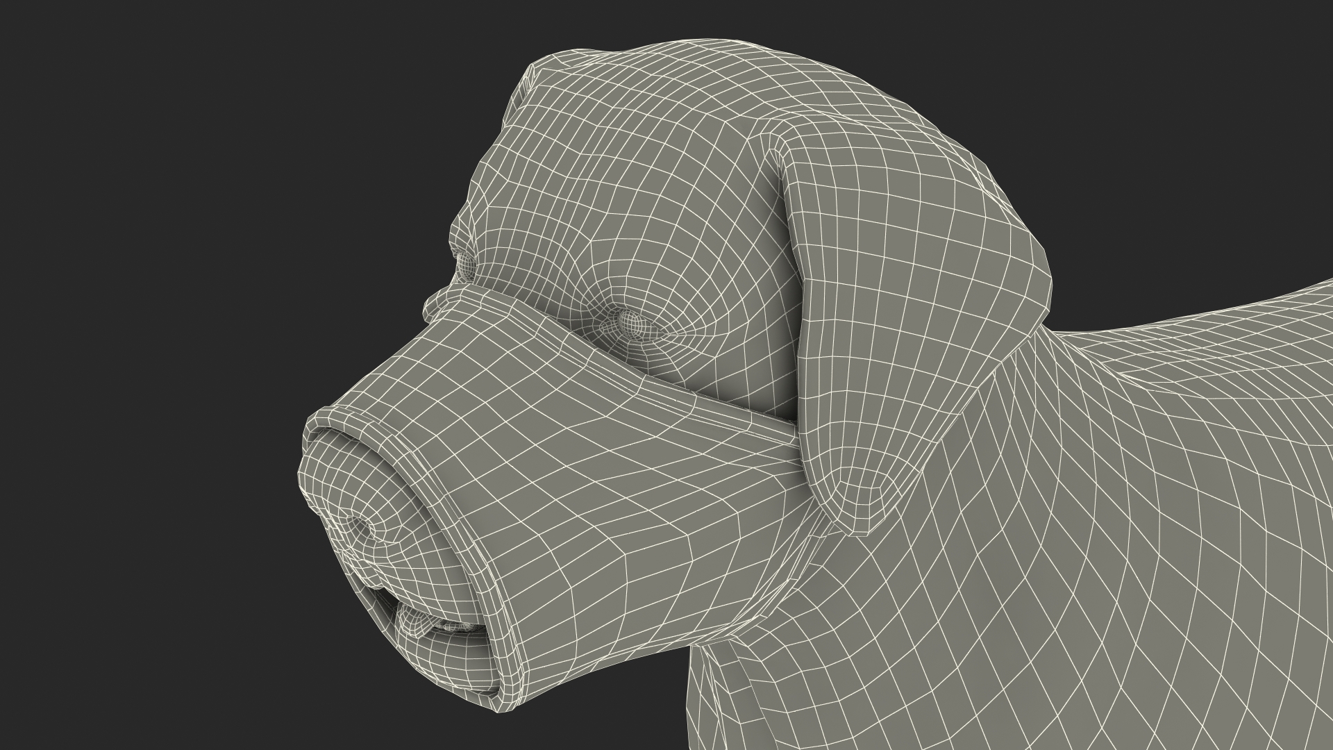 3D model Labrador with Nylon Dog Muzzle
