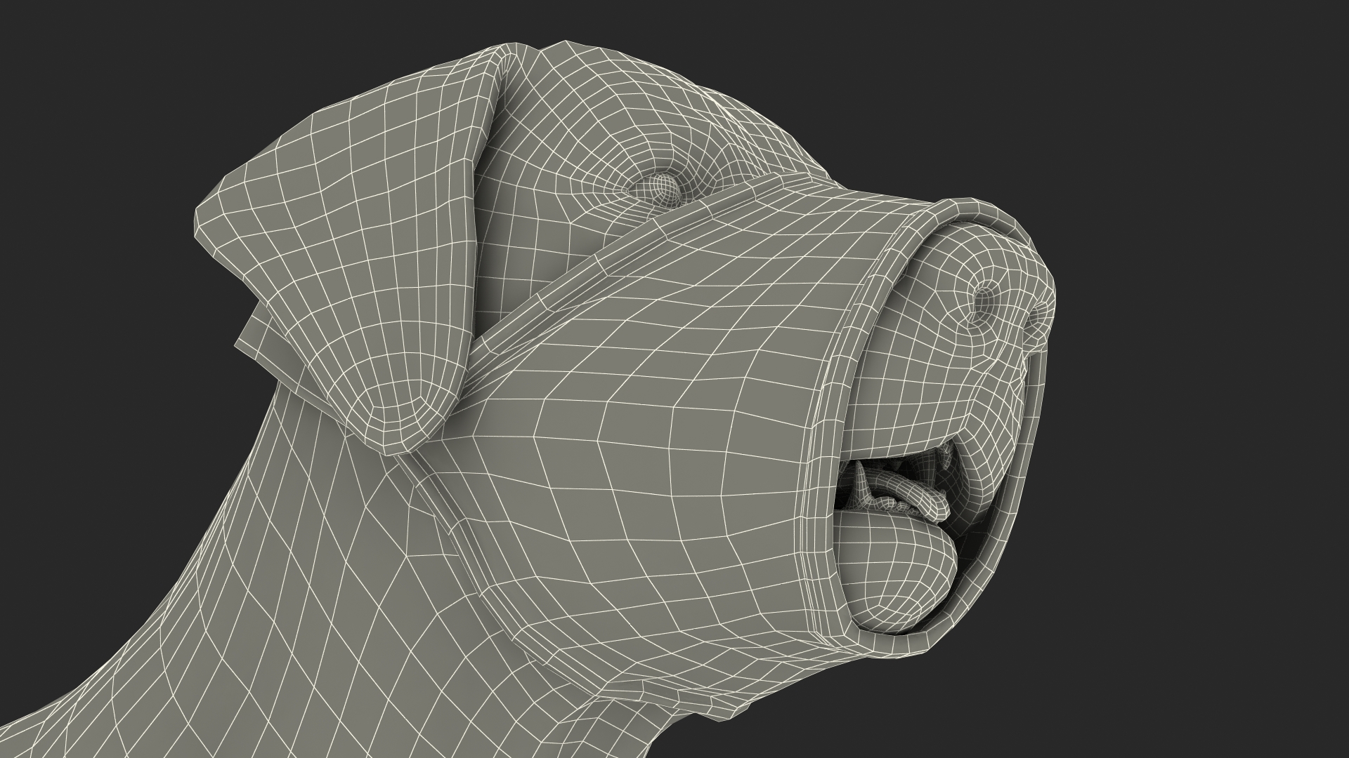 3D model Labrador with Nylon Dog Muzzle