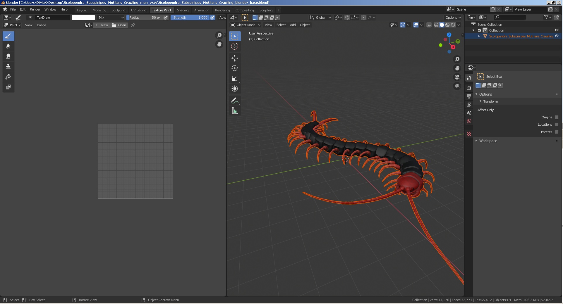 3D Scolopendra Subspinipes Mutilans Crawling