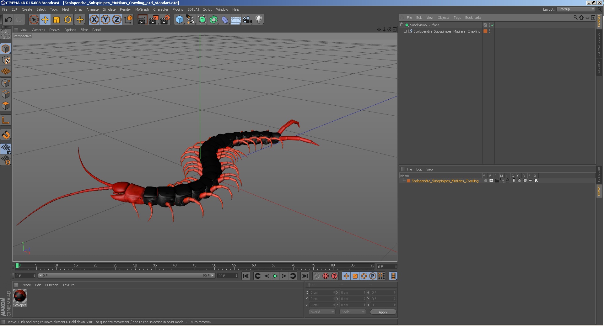 3D Scolopendra Subspinipes Mutilans Crawling