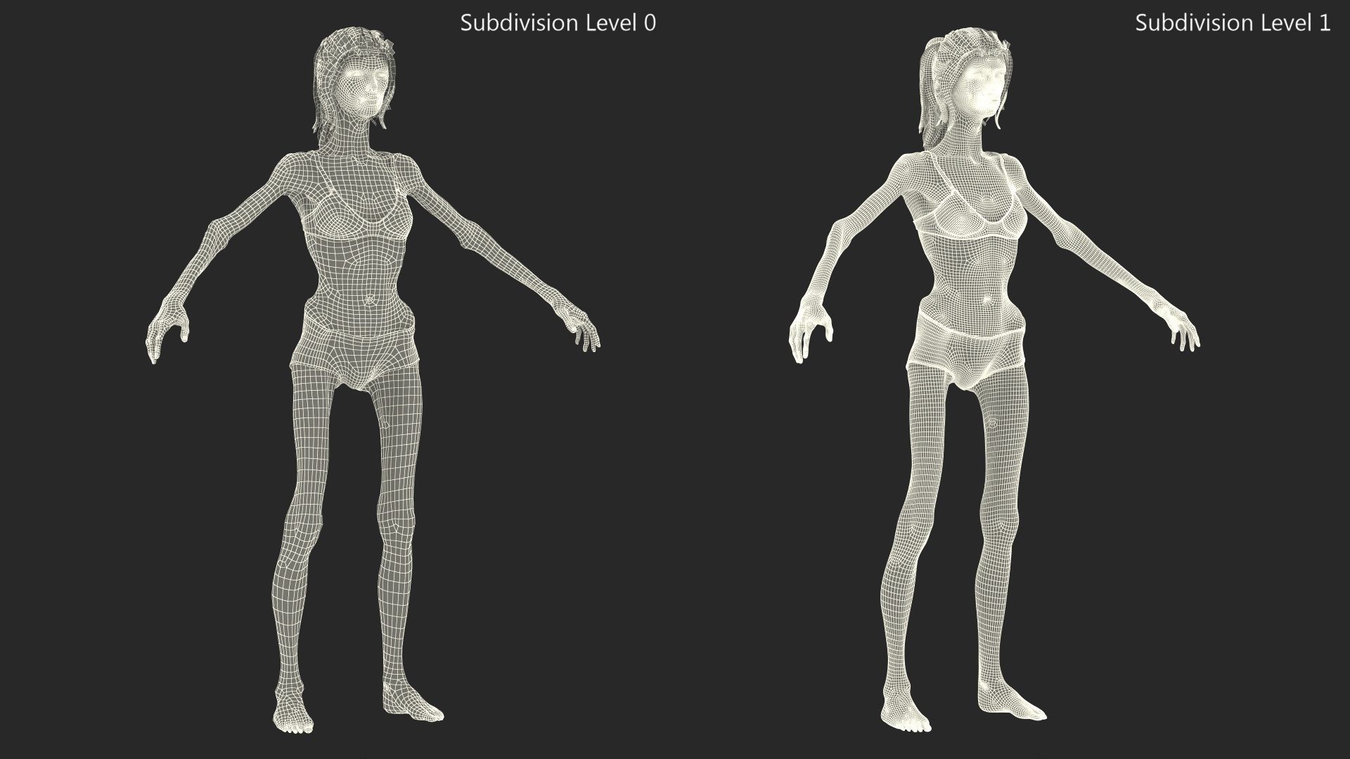 3D Woman Anorexic Rigged