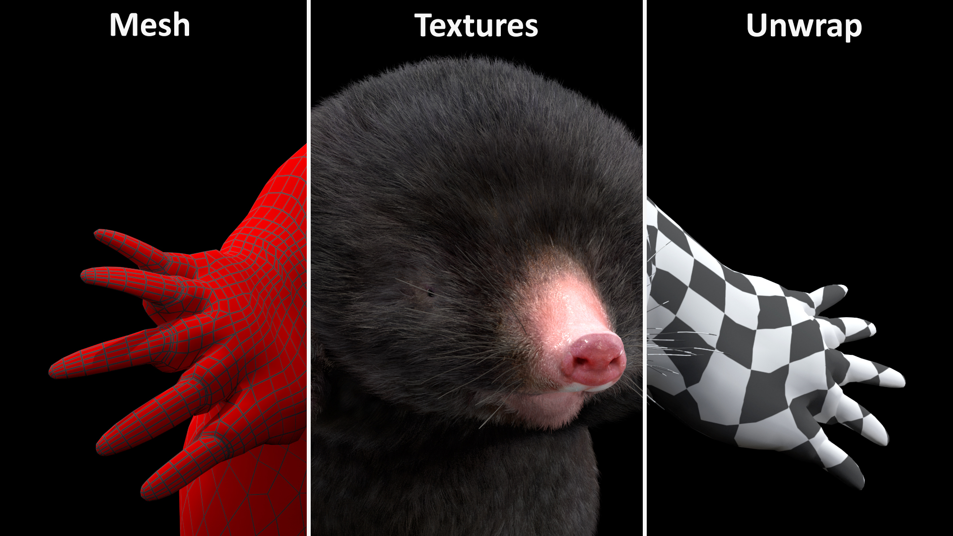3D Burrowing Mole Fur model