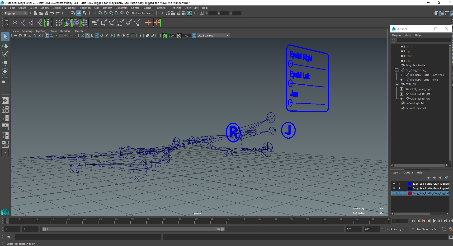 3D Baby Sea Turtle Gray Rigged for Maya