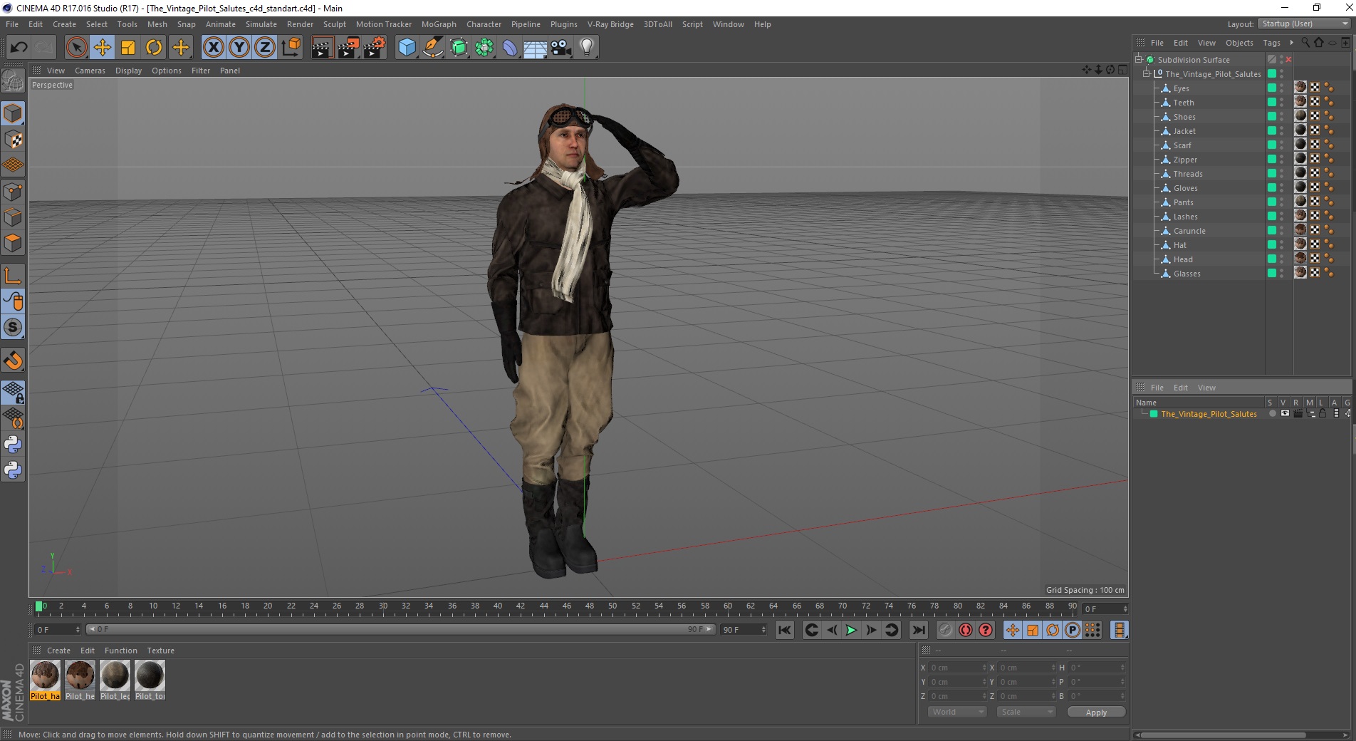 3D model The Vintage Pilot Salutes