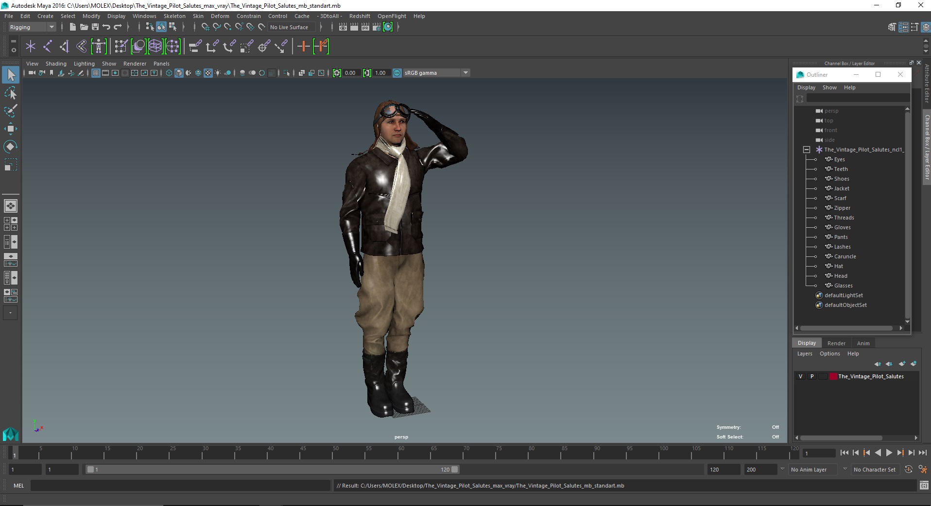 3D model The Vintage Pilot Salutes