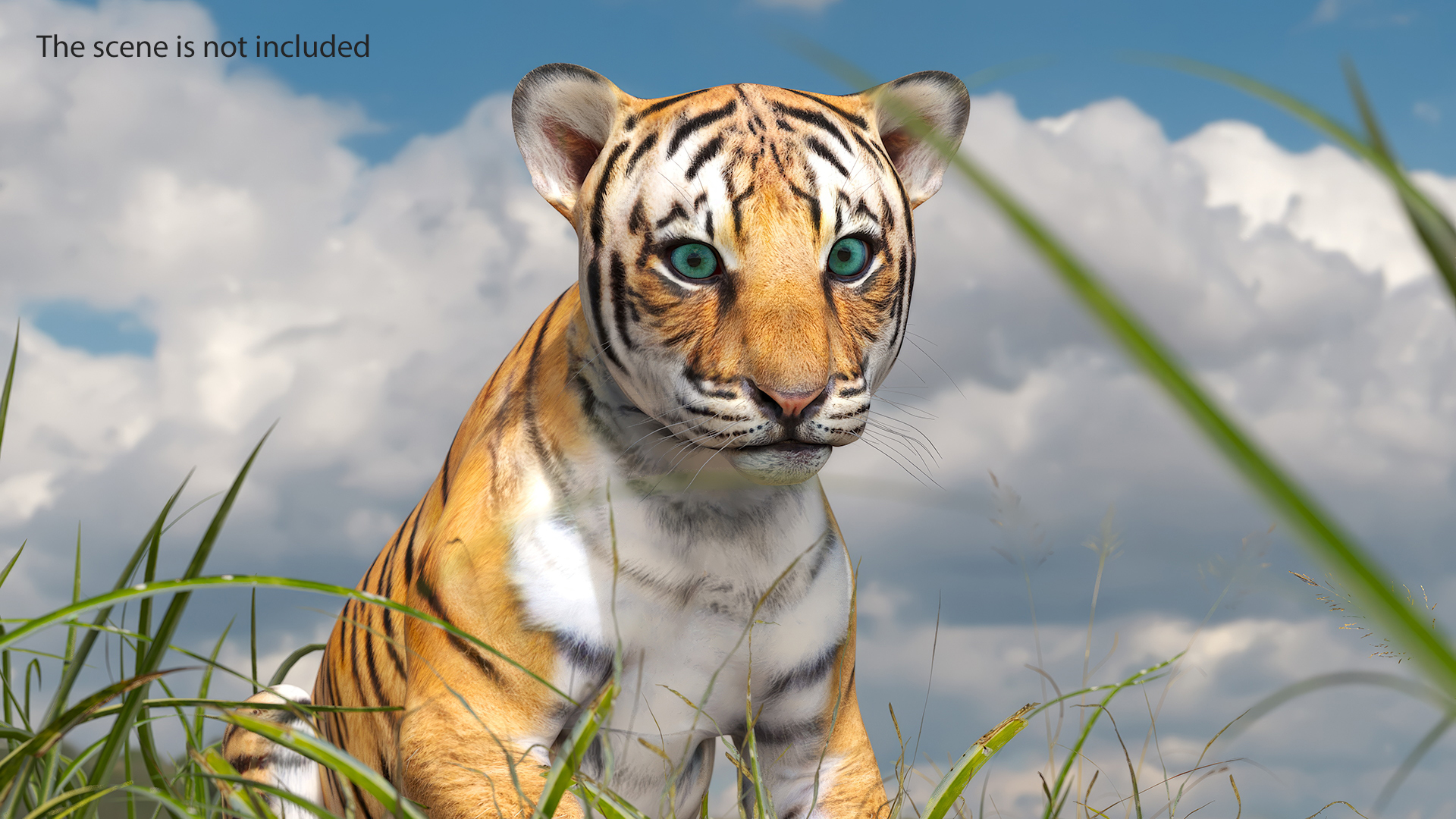 Tiger Cub Sitting 3D