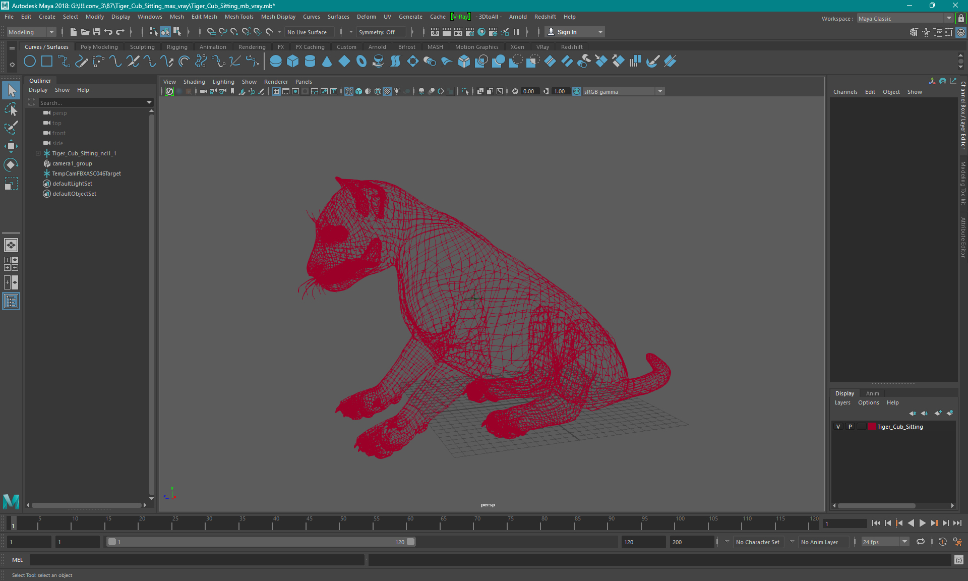 Tiger Cub Sitting 3D