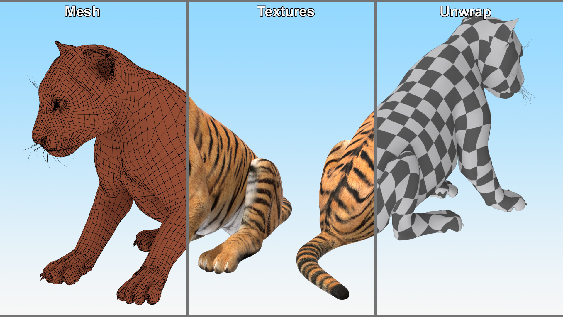 Tiger Cub Sitting 3D