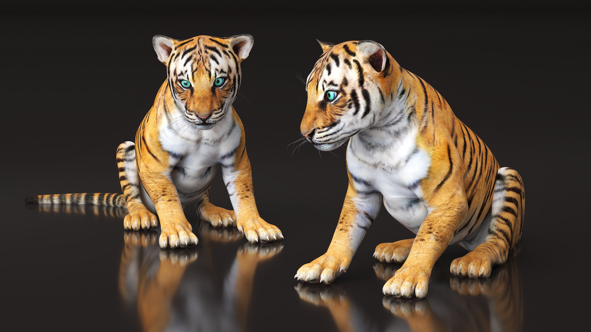 Tiger Cub Sitting 3D
