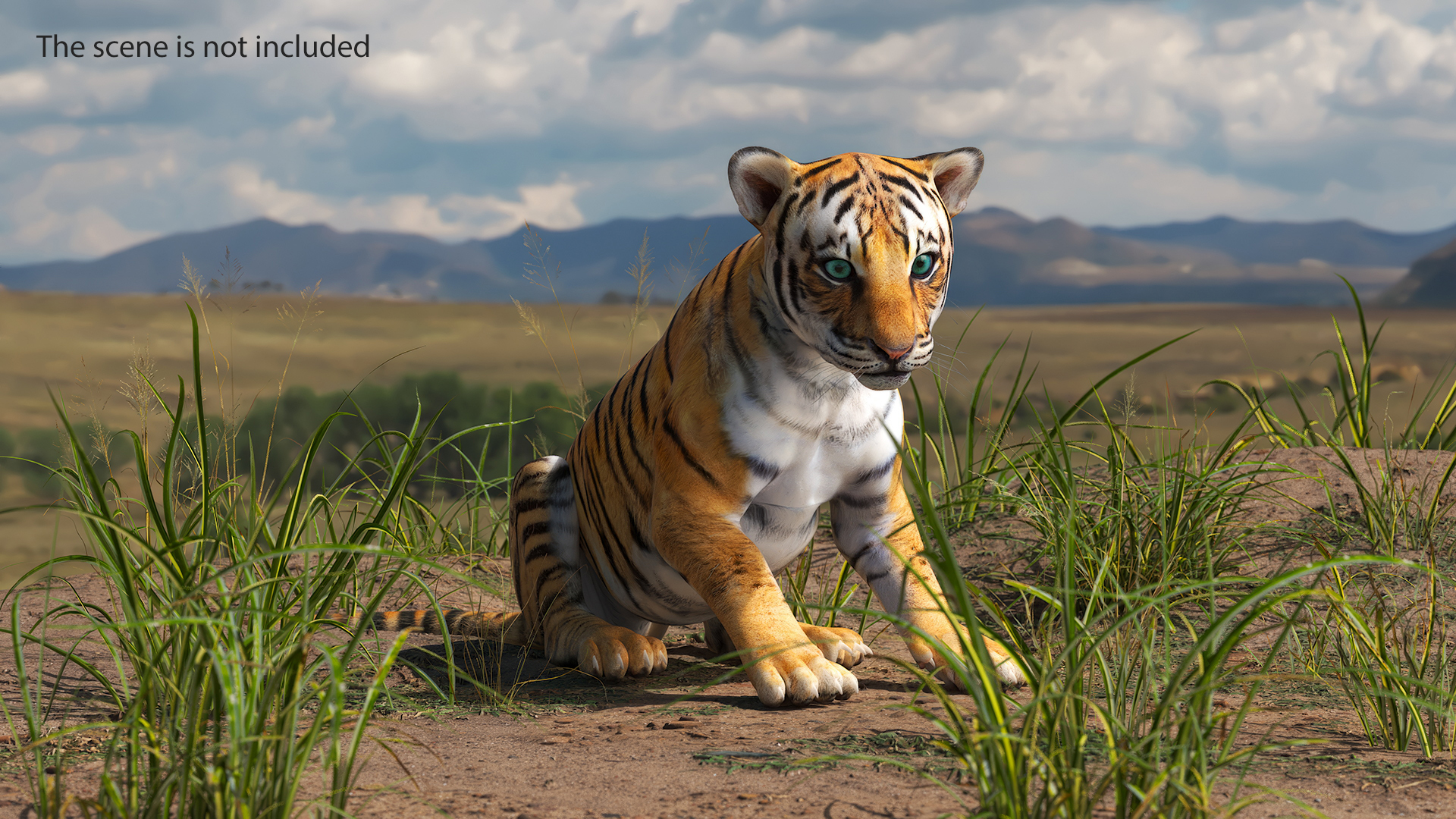 Tiger Cub Sitting 3D