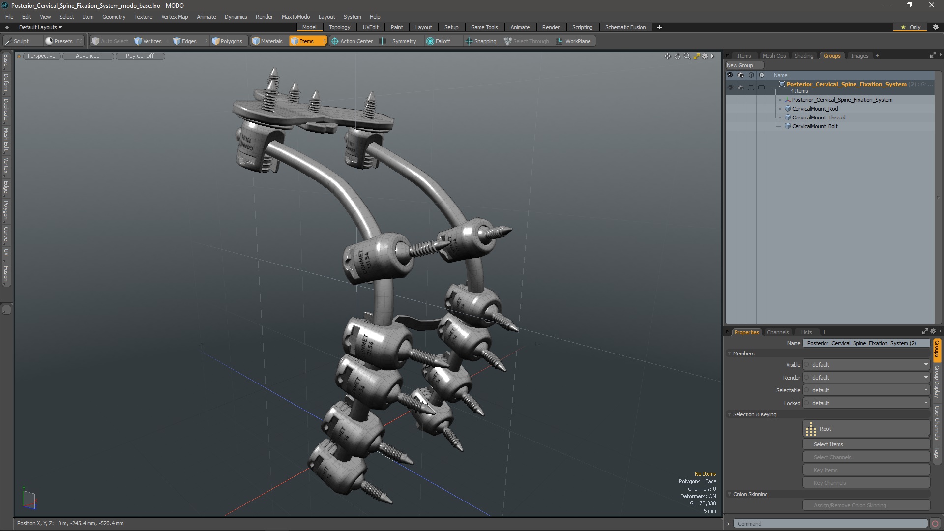 3D model Posterior Cervical Spine Fixation System