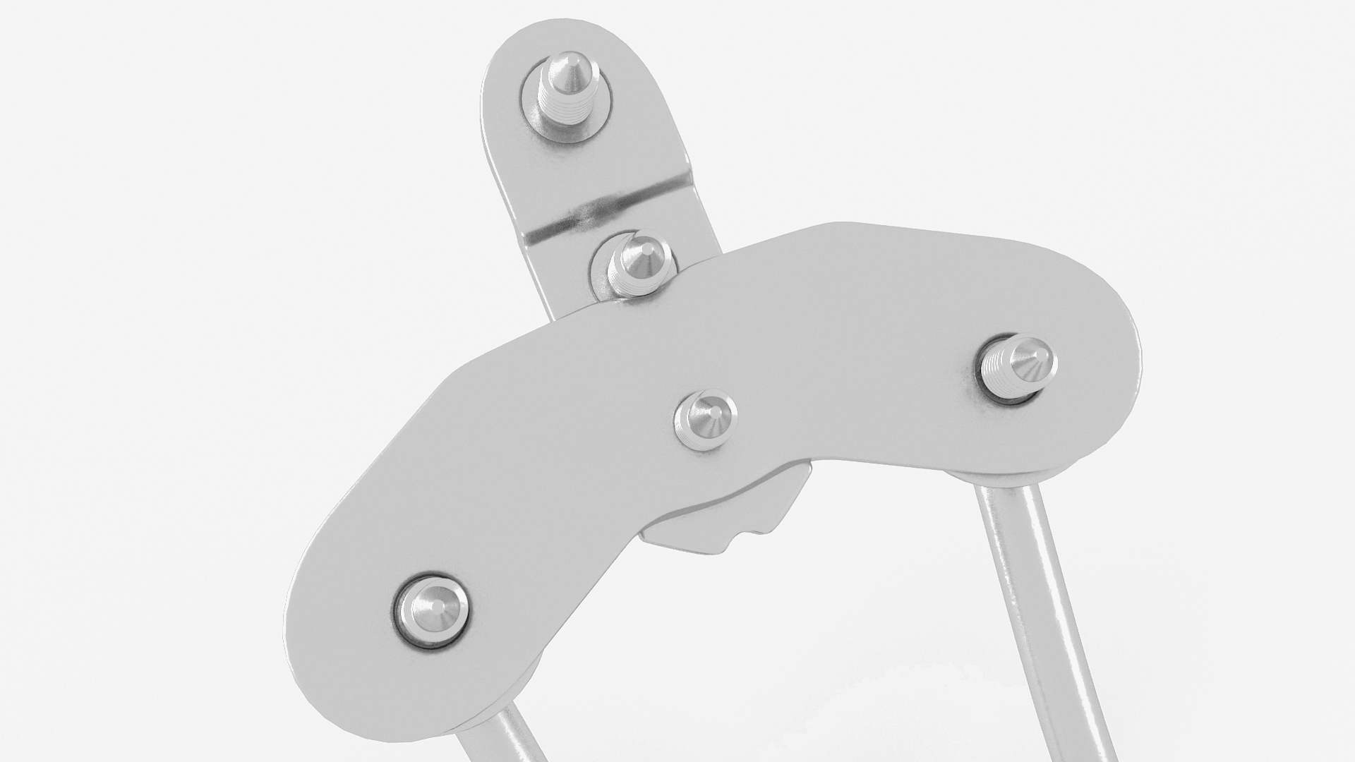 3D model Posterior Cervical Spine Fixation System