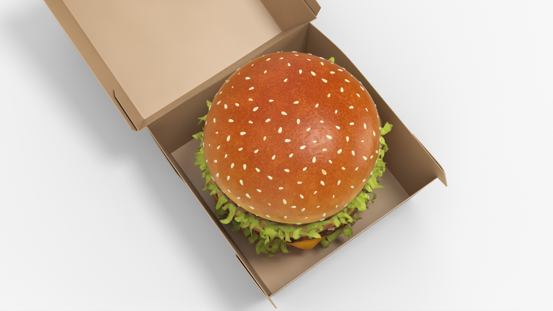 Beef Burger with Packaging Container, view 5