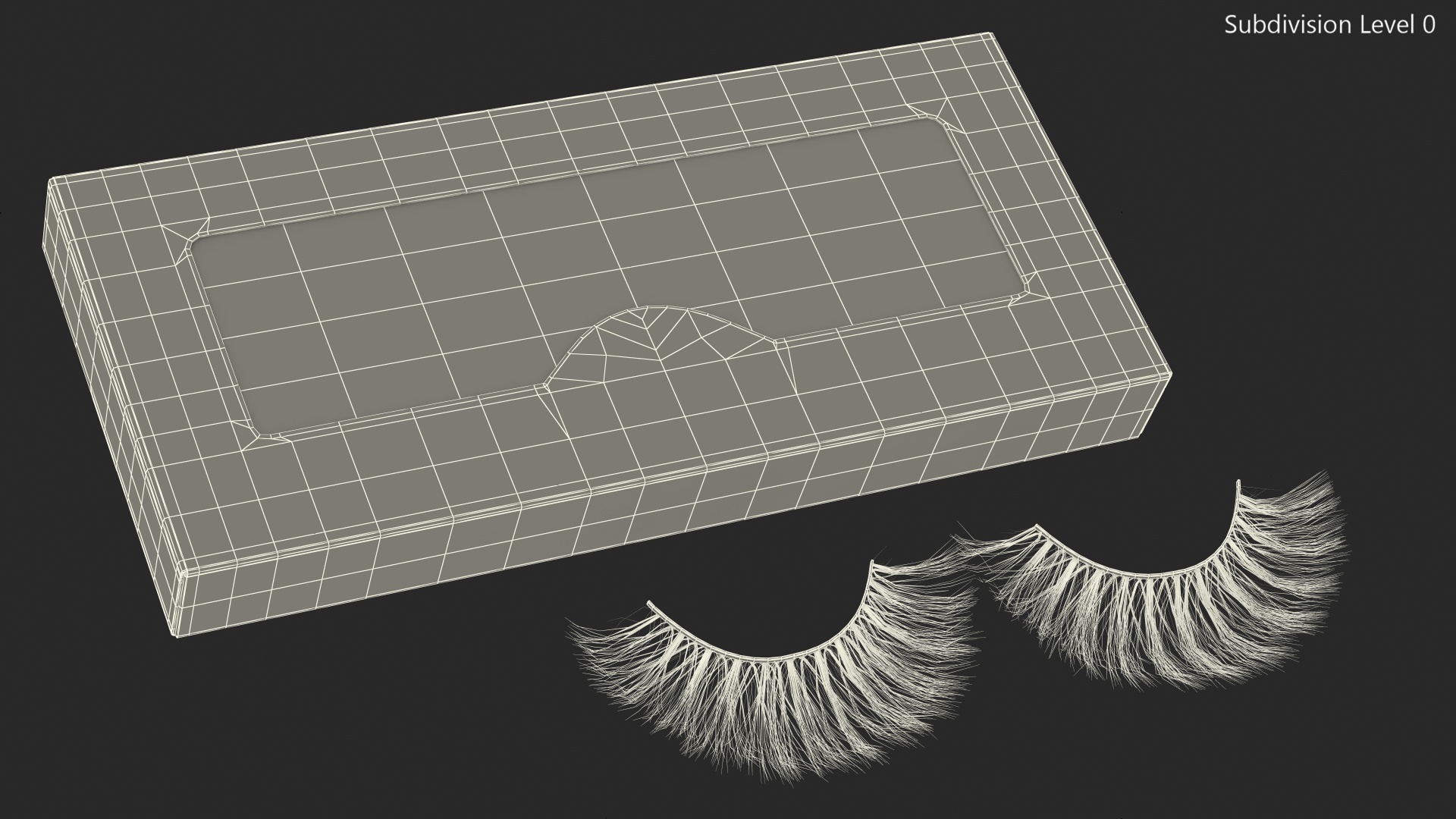 3D False Eyelashes in Package