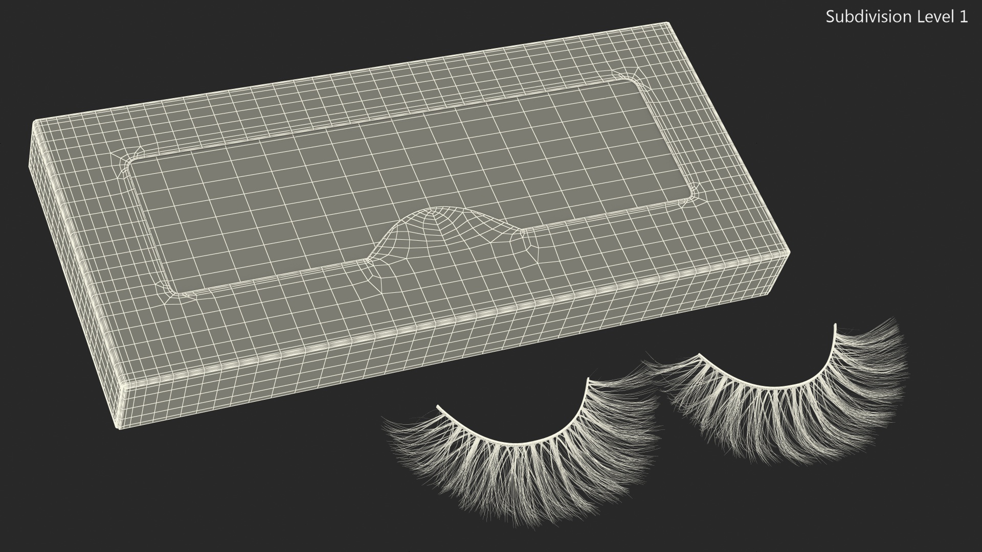 3D False Eyelashes in Package
