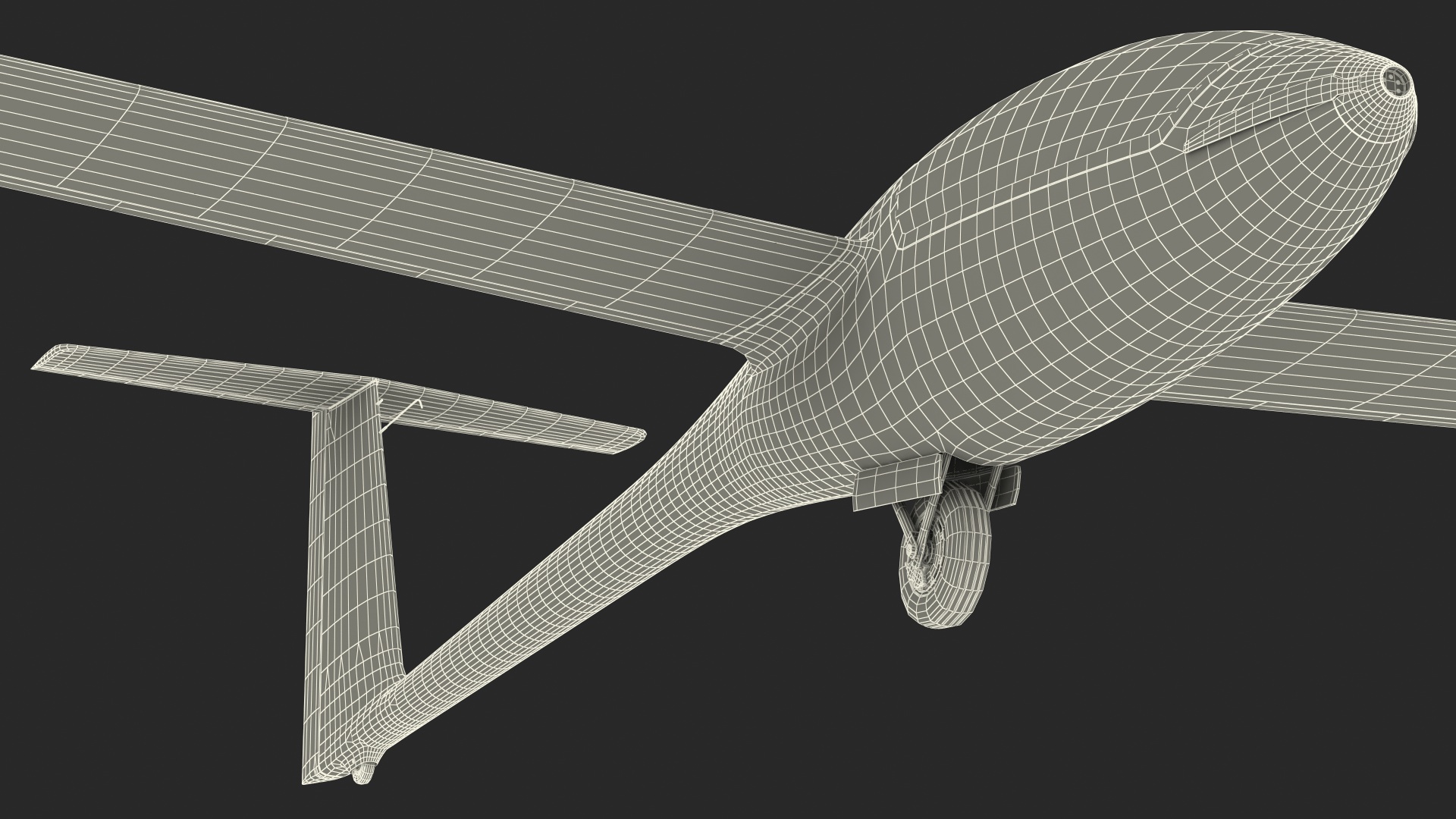 3D Electric Glider MiniLAK model