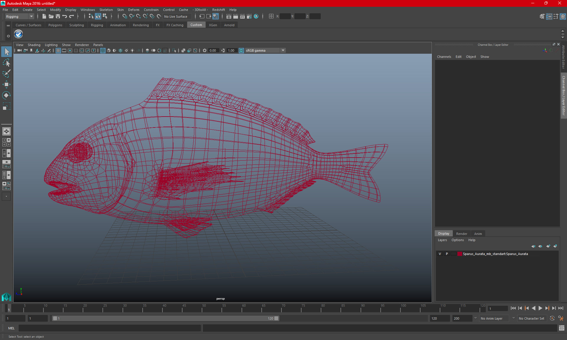3D Sparus Aurata model