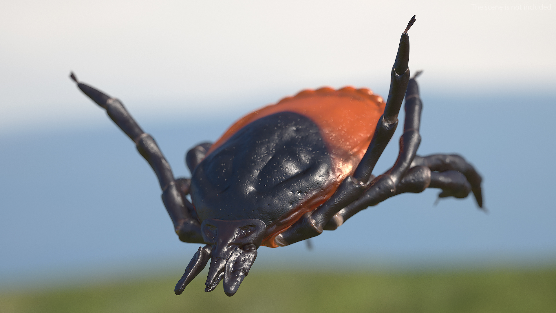 Tick Bite Pose 3D model