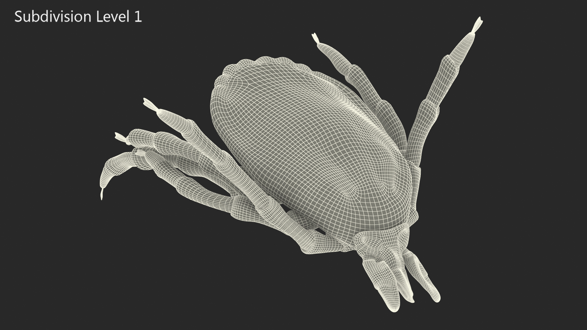 Tick Bite Pose 3D model