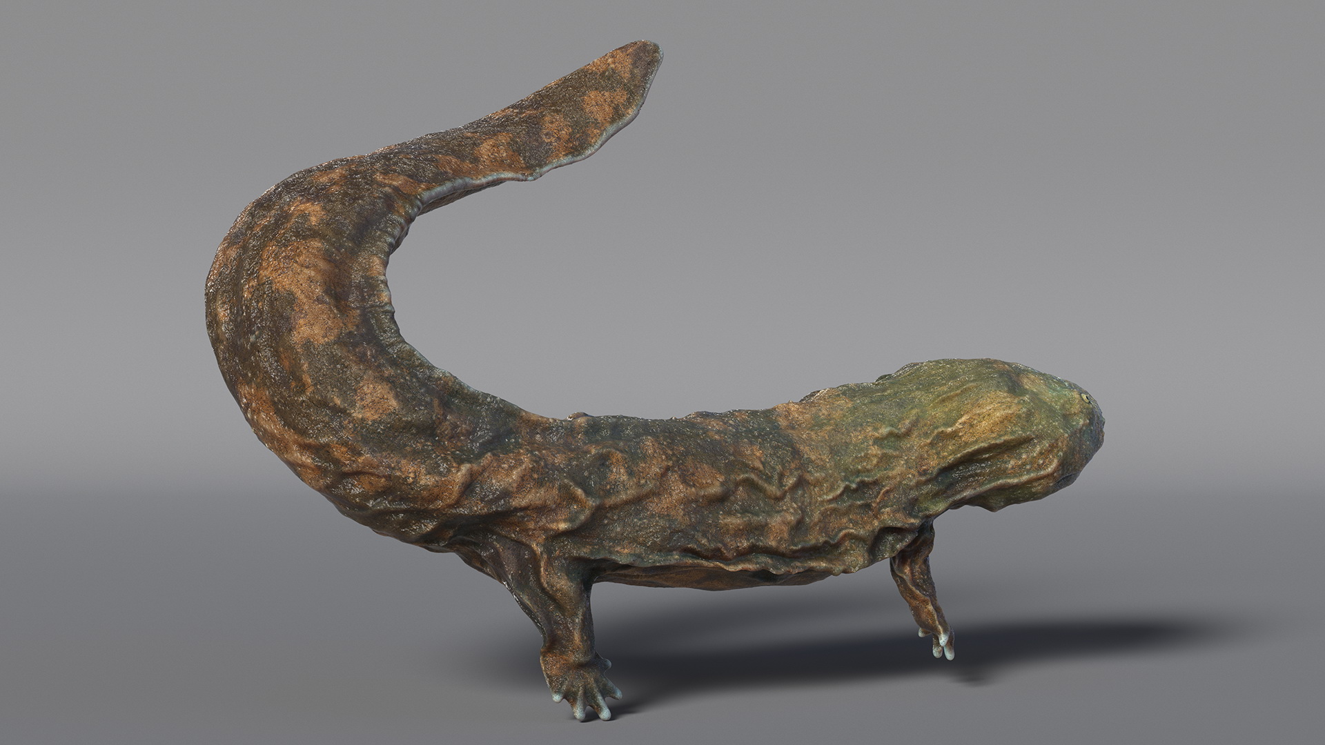 Aquatic Salamander Light Wet Rigged for Maya 3D model