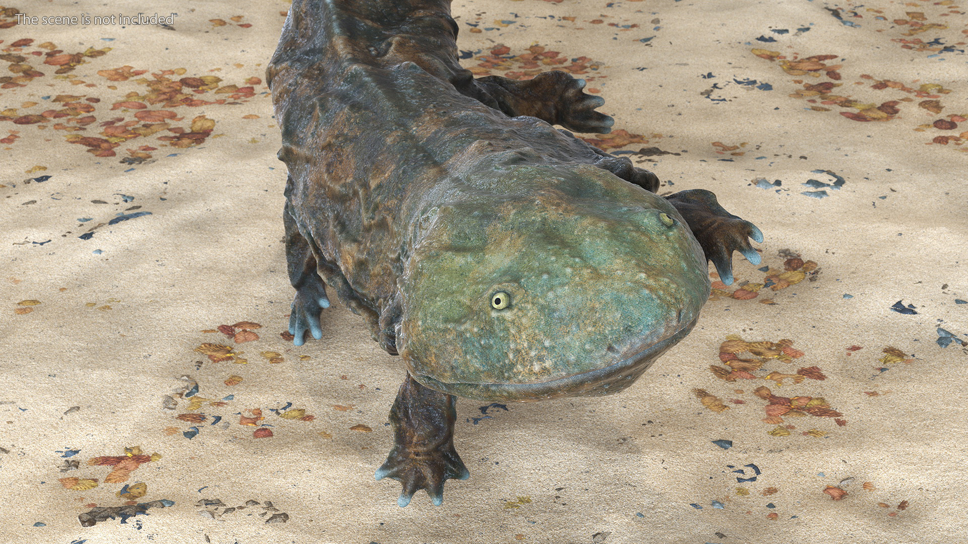 Aquatic Salamander Light Wet Rigged for Maya 3D model