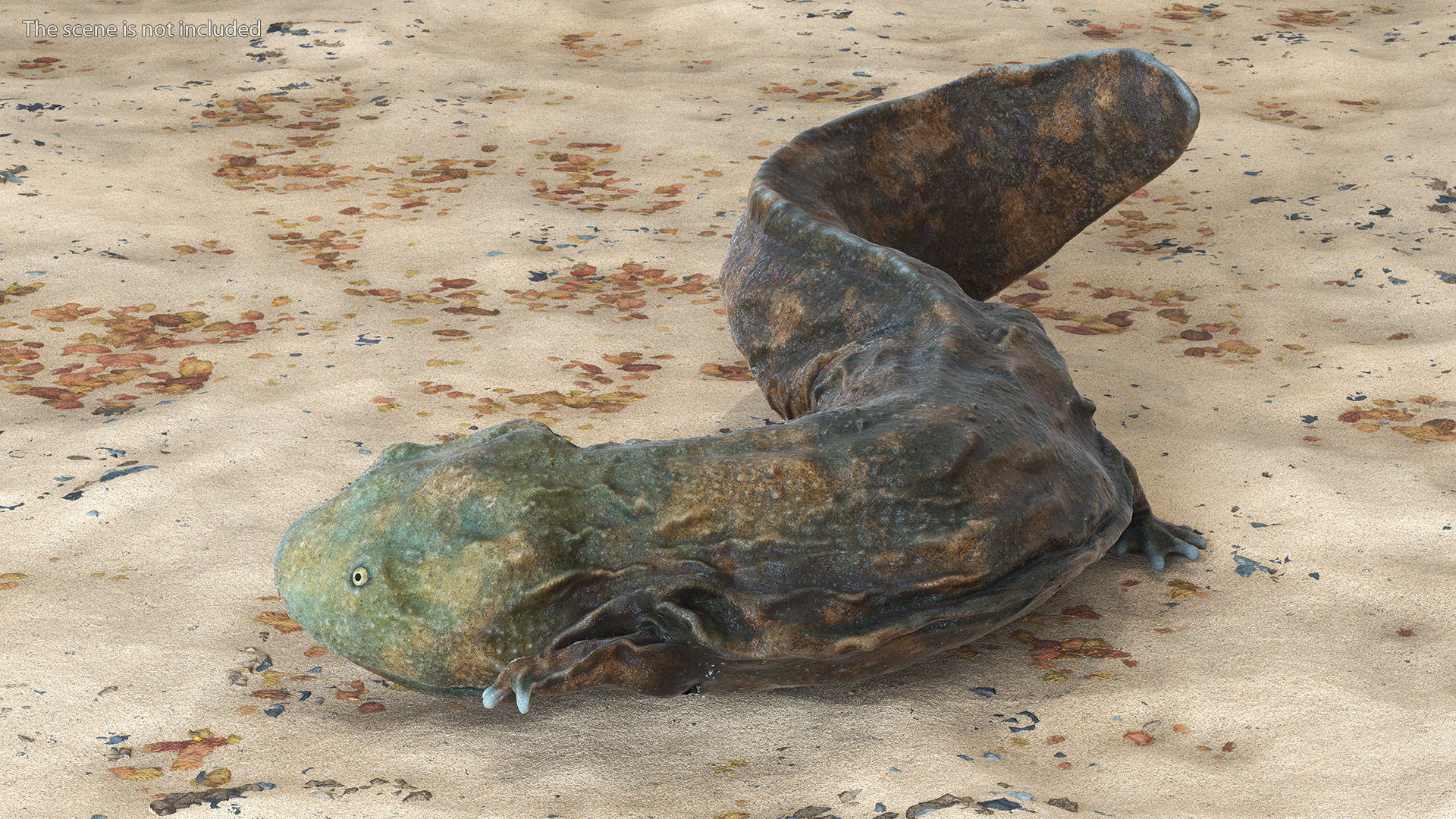 Aquatic Salamander Light Wet Rigged for Maya 3D model