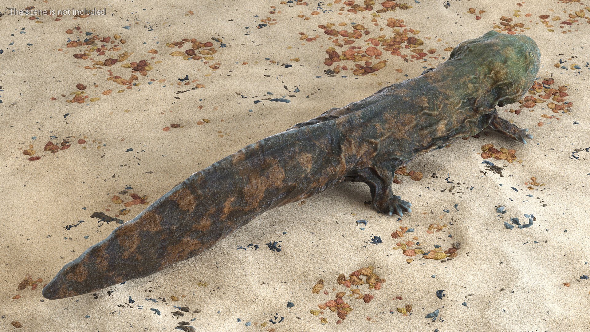 Aquatic Salamander Light Wet Rigged for Maya 3D model