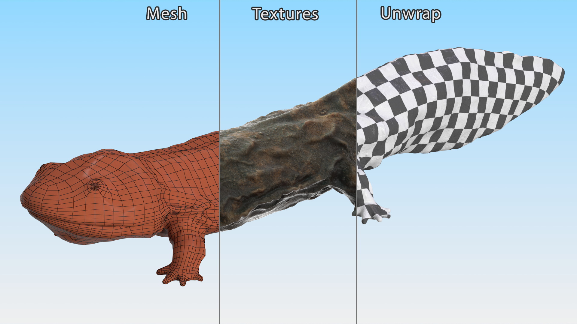 Aquatic Salamander Light Wet Rigged for Maya 3D model