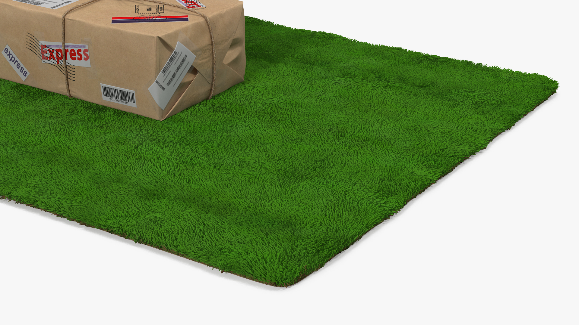Mail Package on Doormat Fur 3D