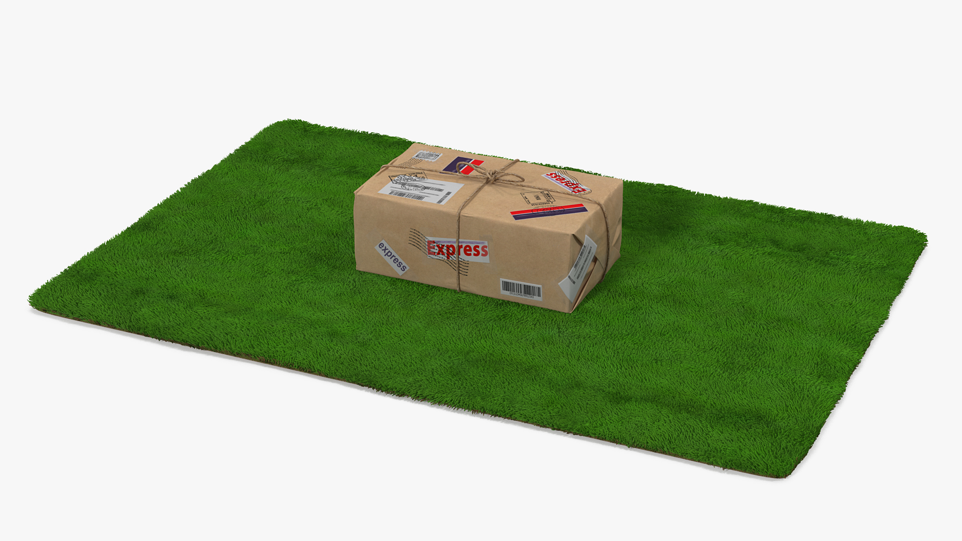 Mail Package on Doormat Fur 3D