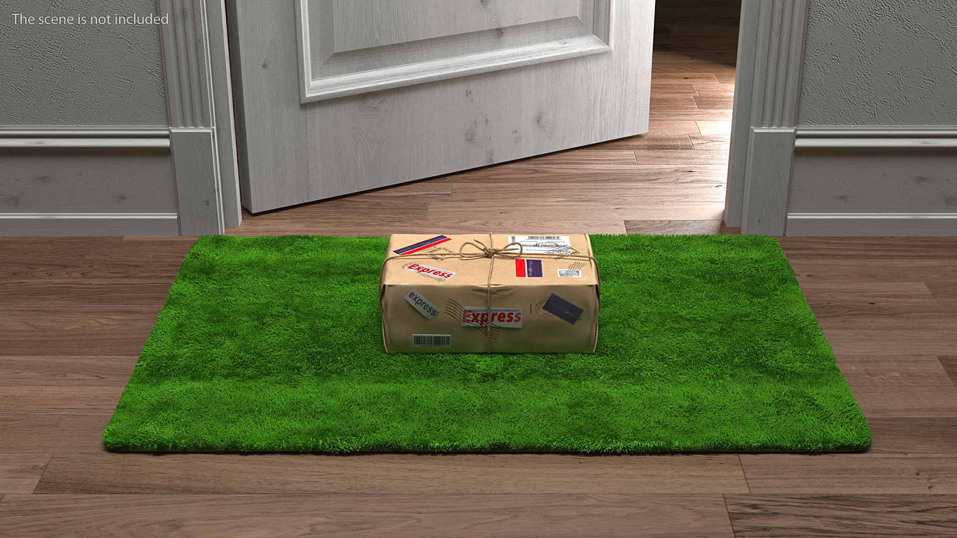 Mail Package on Doormat Fur 3D