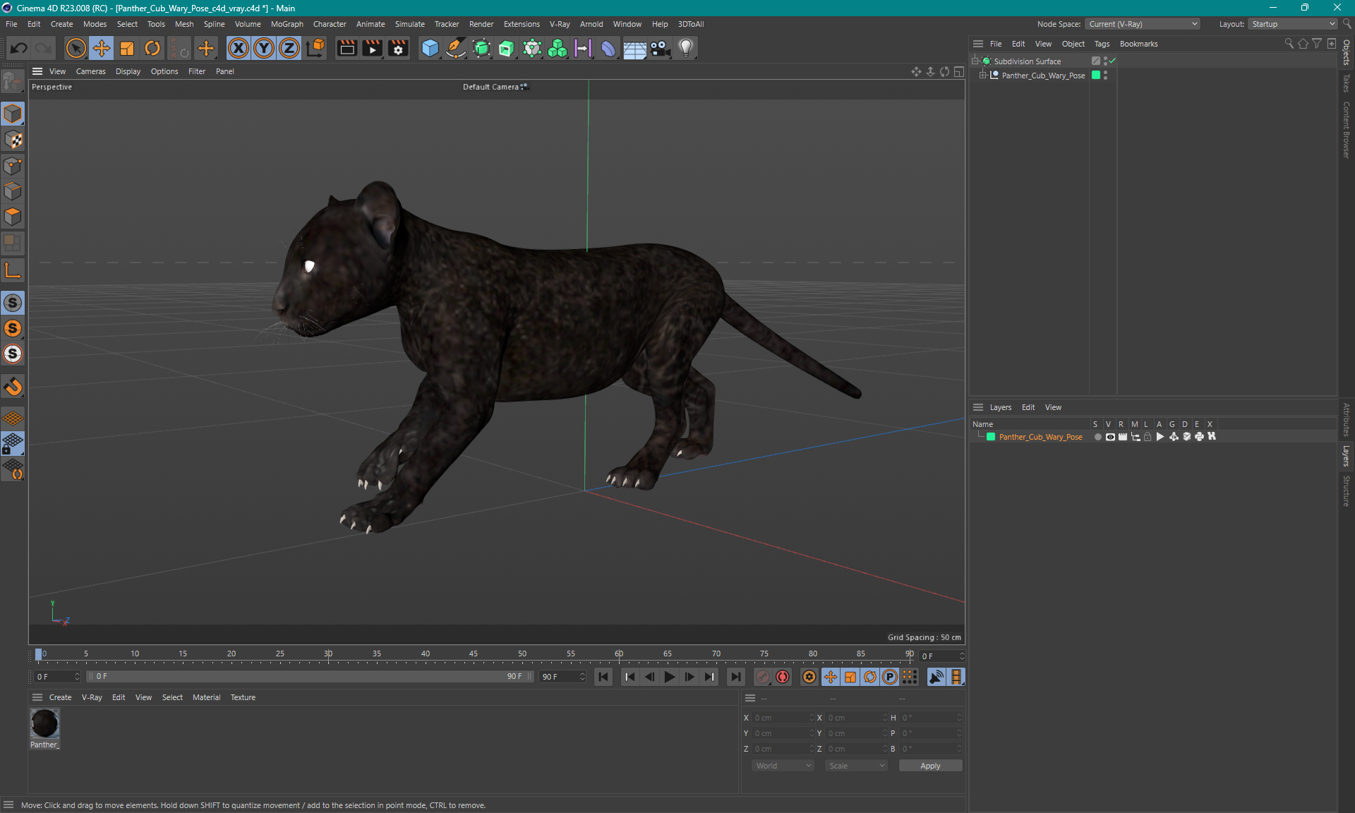 3D Panther Cub Wary Pose