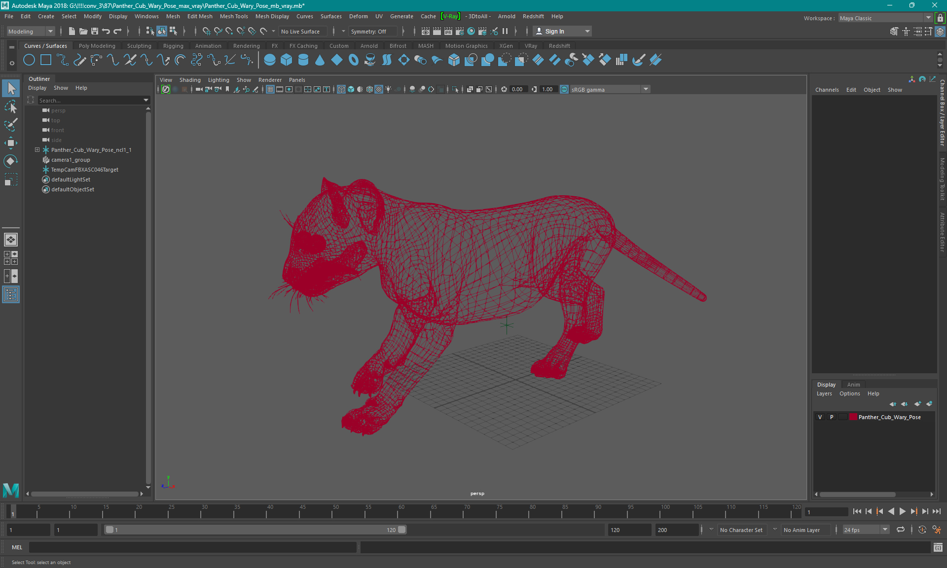 3D Panther Cub Wary Pose