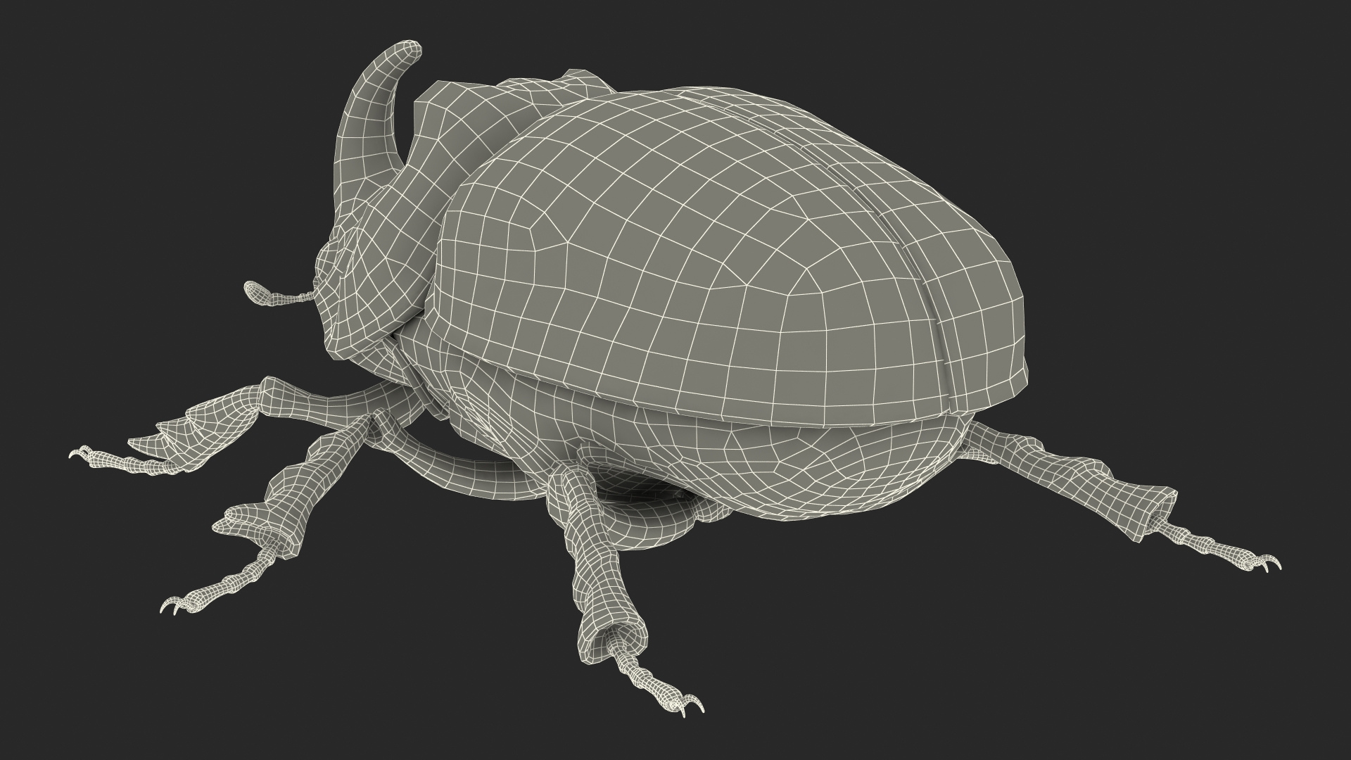 3D model Oryctes Nasicornis Rhinoceros Beetle Standing