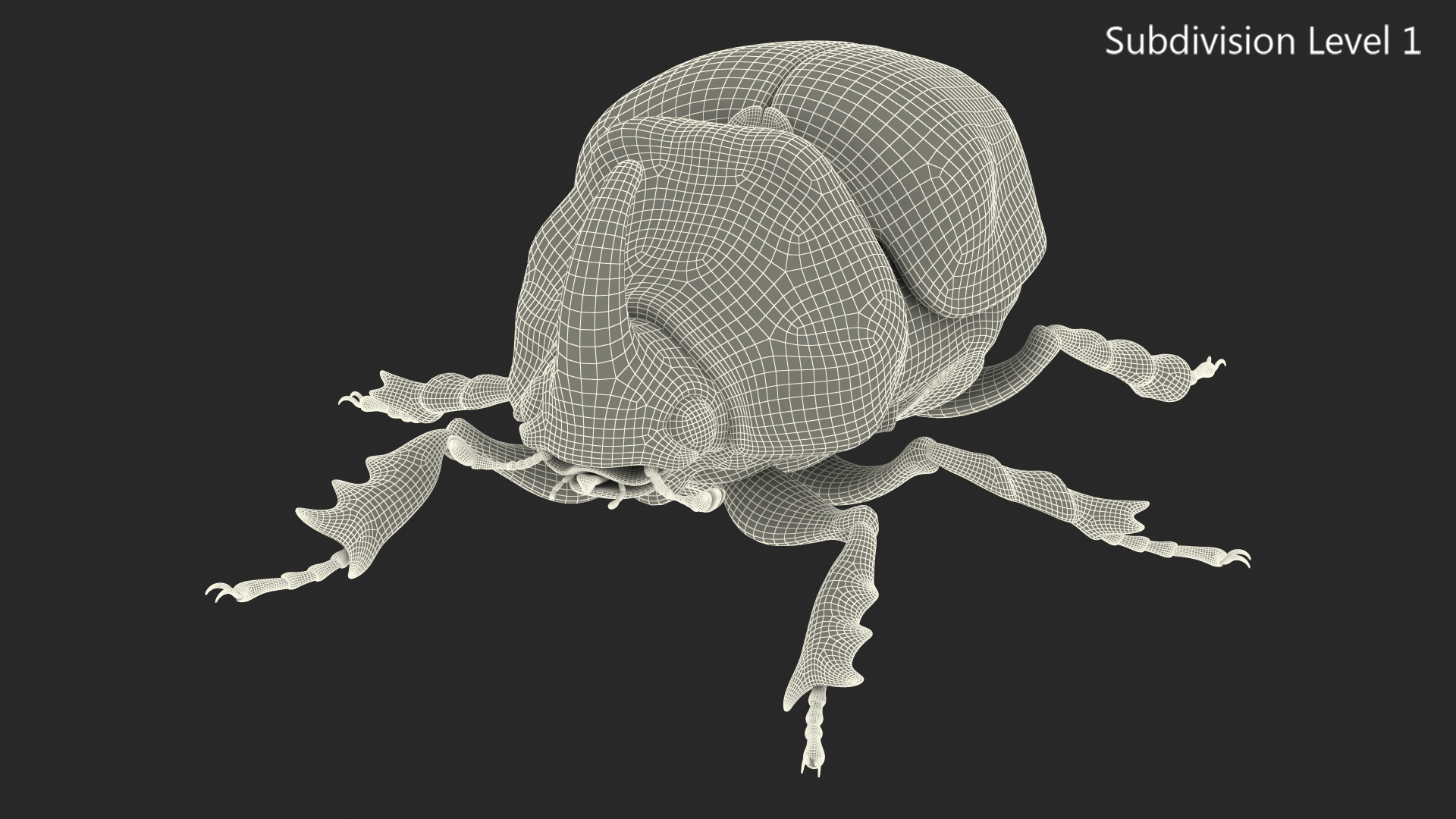 3D model Oryctes Nasicornis Rhinoceros Beetle Standing
