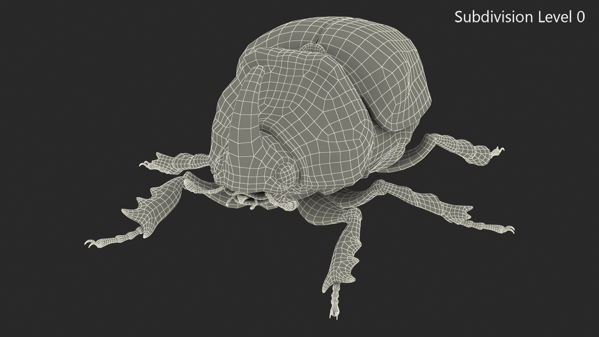 3D model Oryctes Nasicornis Rhinoceros Beetle Standing