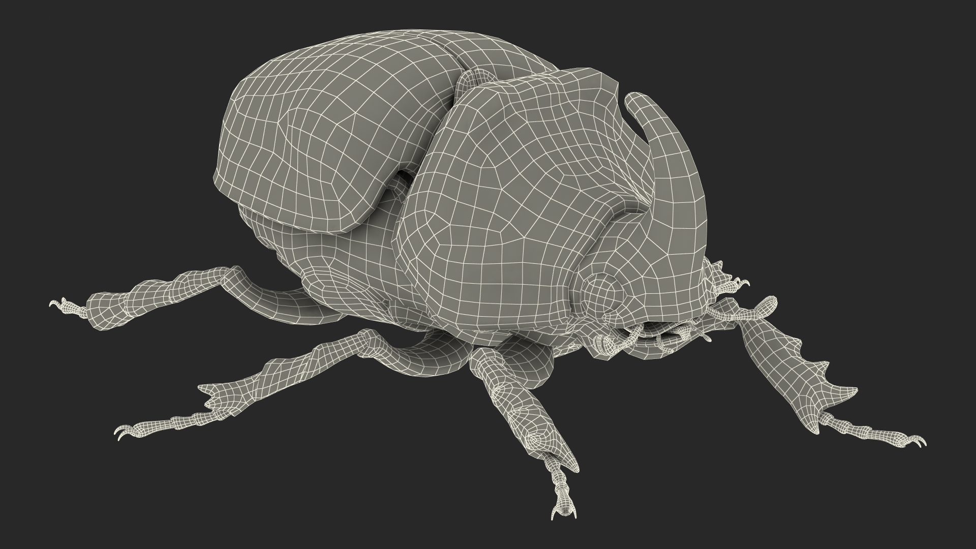 3D model Oryctes Nasicornis Rhinoceros Beetle Standing
