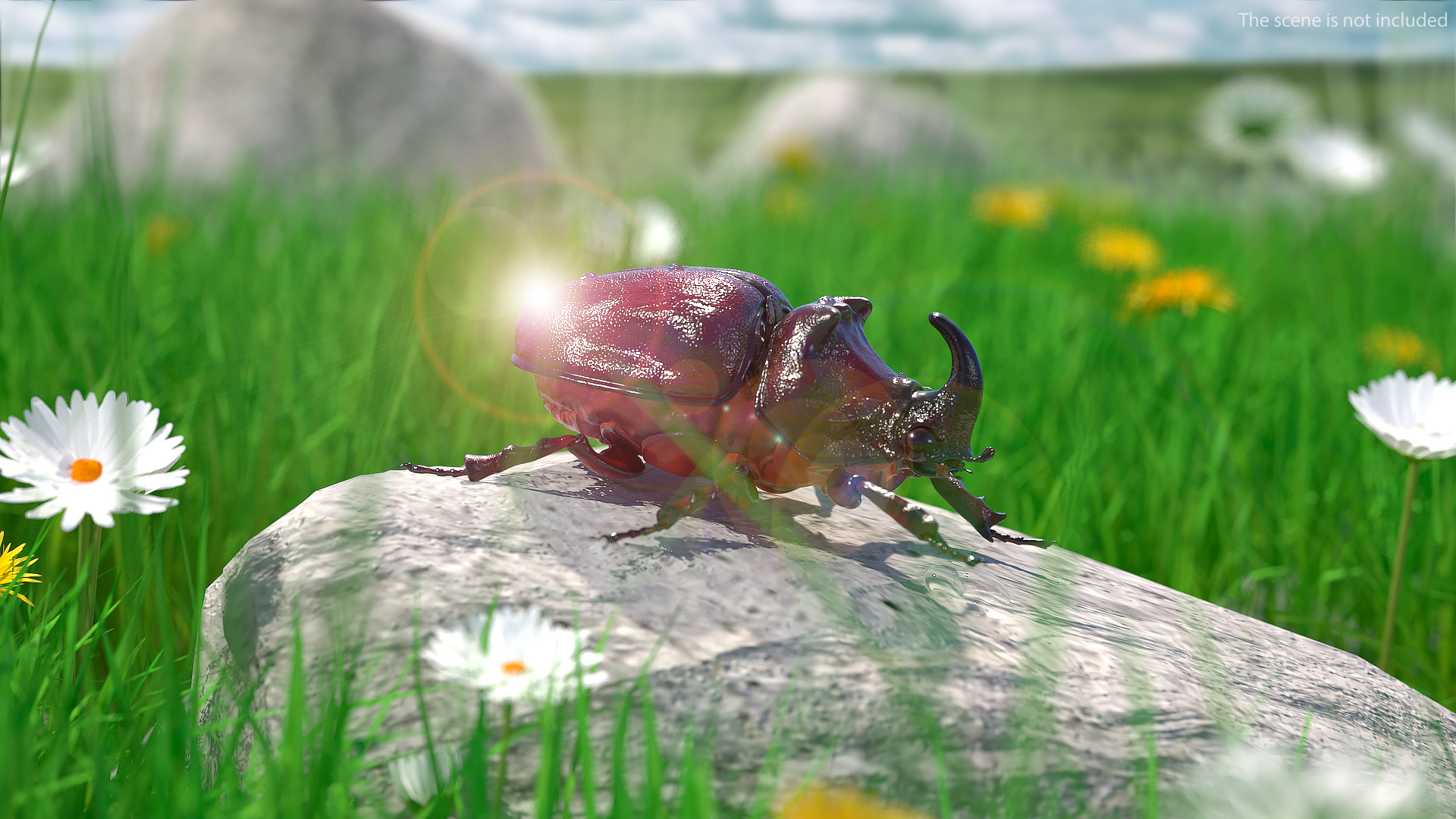 3D model Oryctes Nasicornis Rhinoceros Beetle Standing