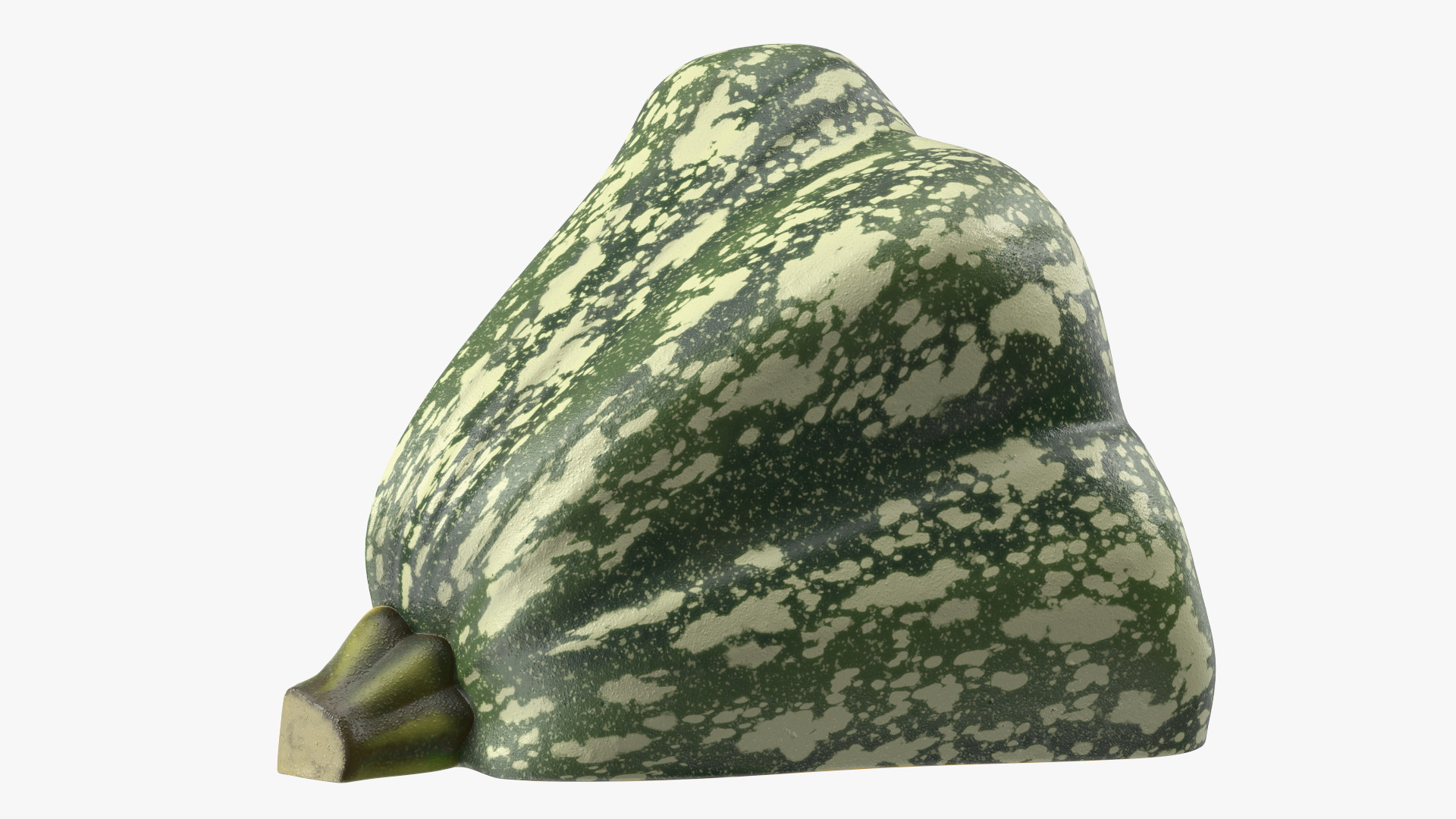 Green Color Bush Pumpkin Quarter 3D