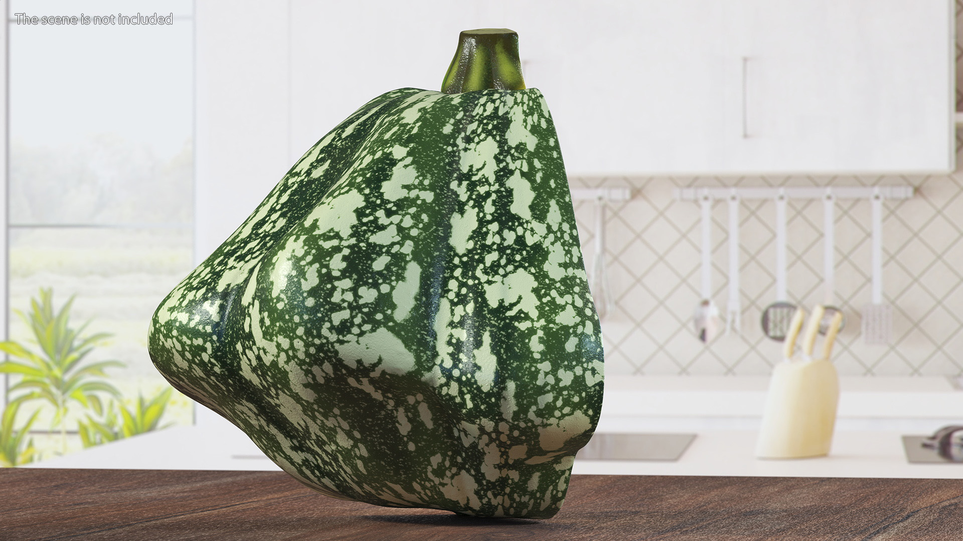 Green Color Bush Pumpkin Quarter 3D