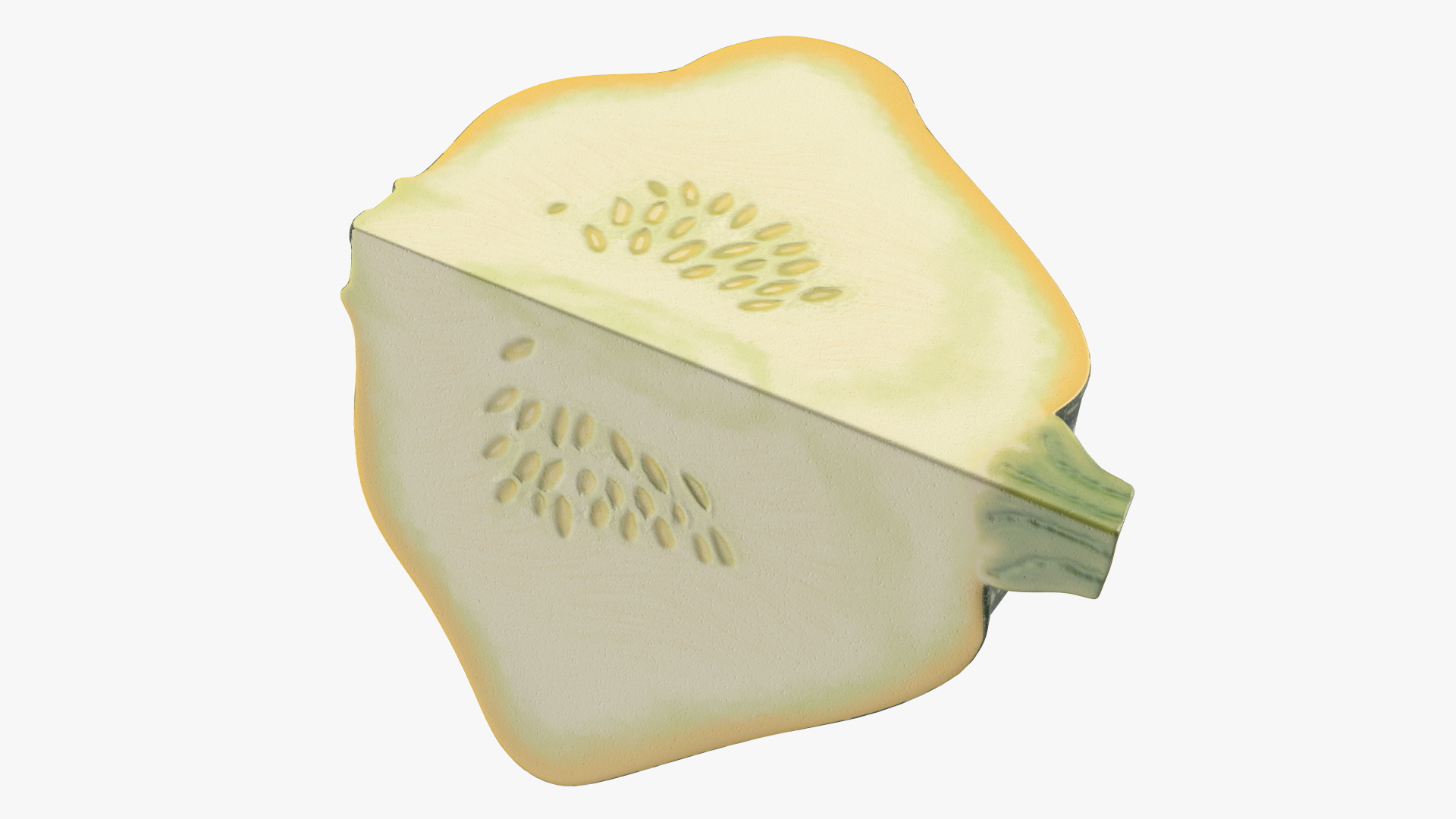 Green Color Bush Pumpkin Quarter 3D