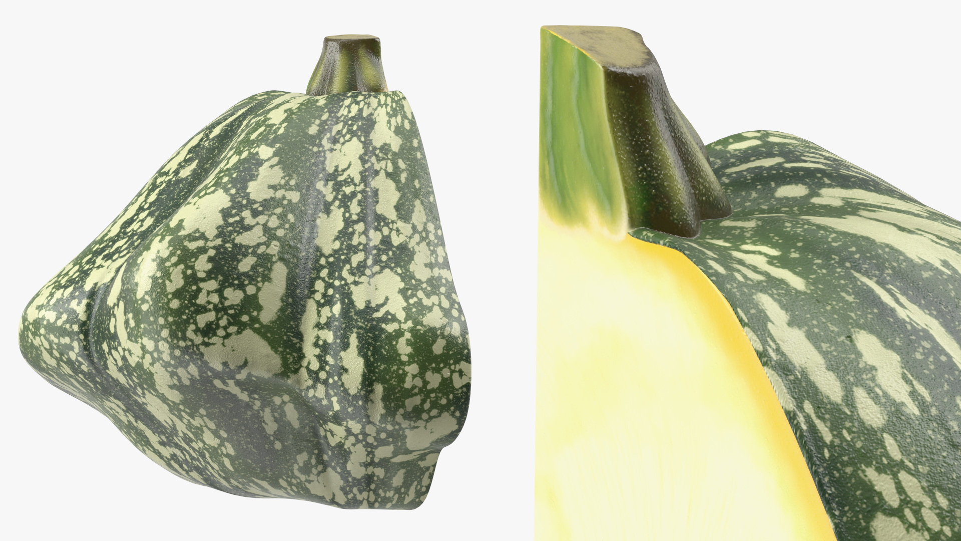 Green Color Bush Pumpkin Quarter 3D