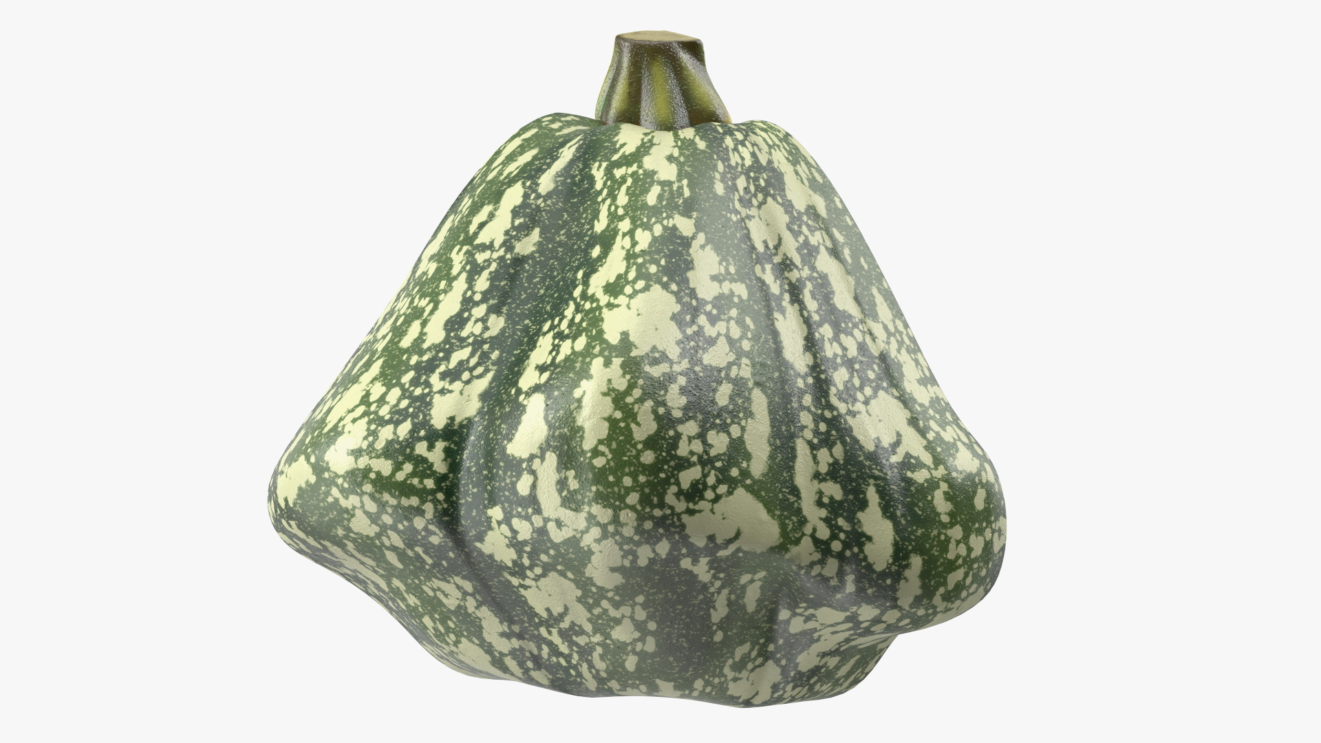 Green Color Bush Pumpkin Quarter 3D
