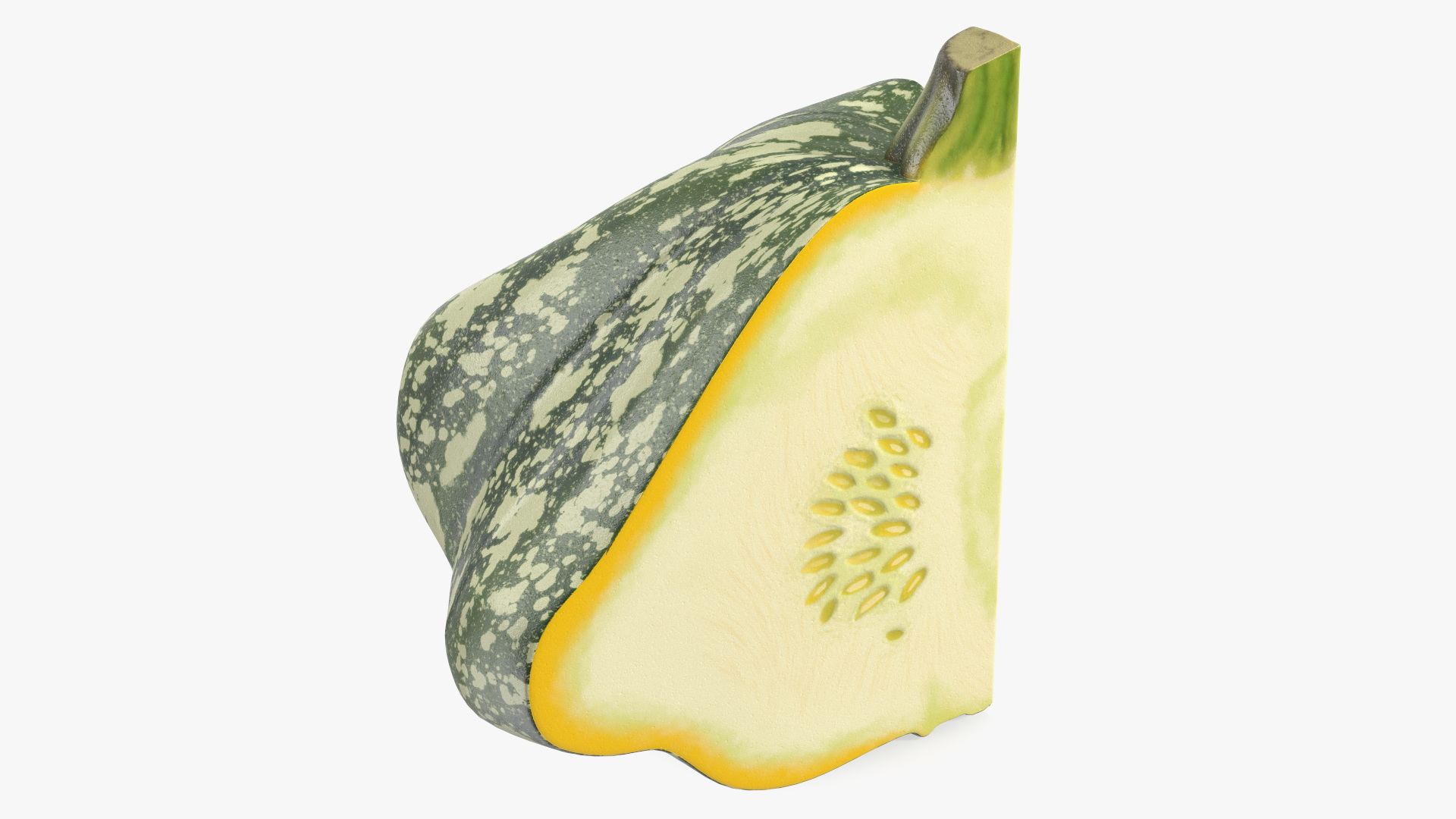 Green Color Bush Pumpkin Quarter 3D