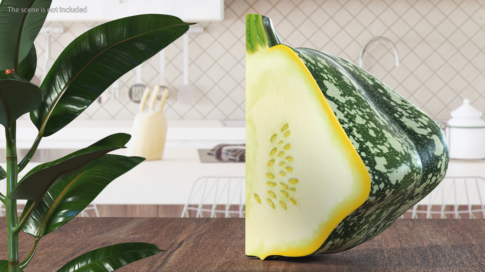 Green Color Bush Pumpkin Quarter 3D